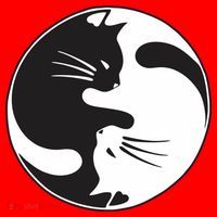 Kawaki Ying Yang Cat Santa Hat thumb 1