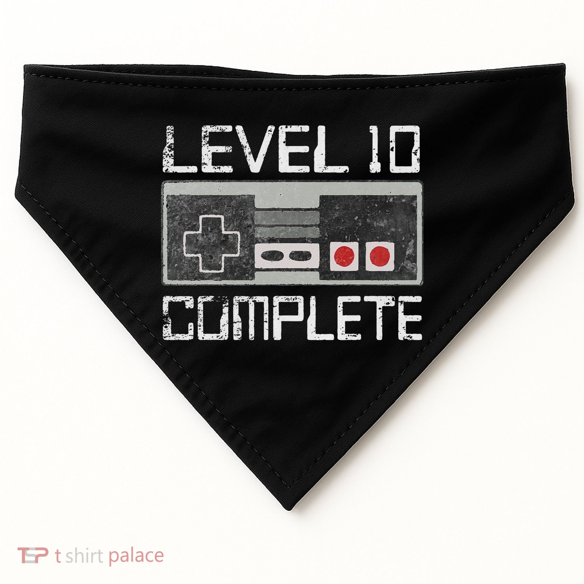 Level 10 Complete 10 Year 10th Wedding Anniversary For Him USA-Made Doggie Bandana