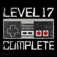 Level 17 Complete 17 Year 17th Wedding Anniversary Women's Hoodie thumb 2