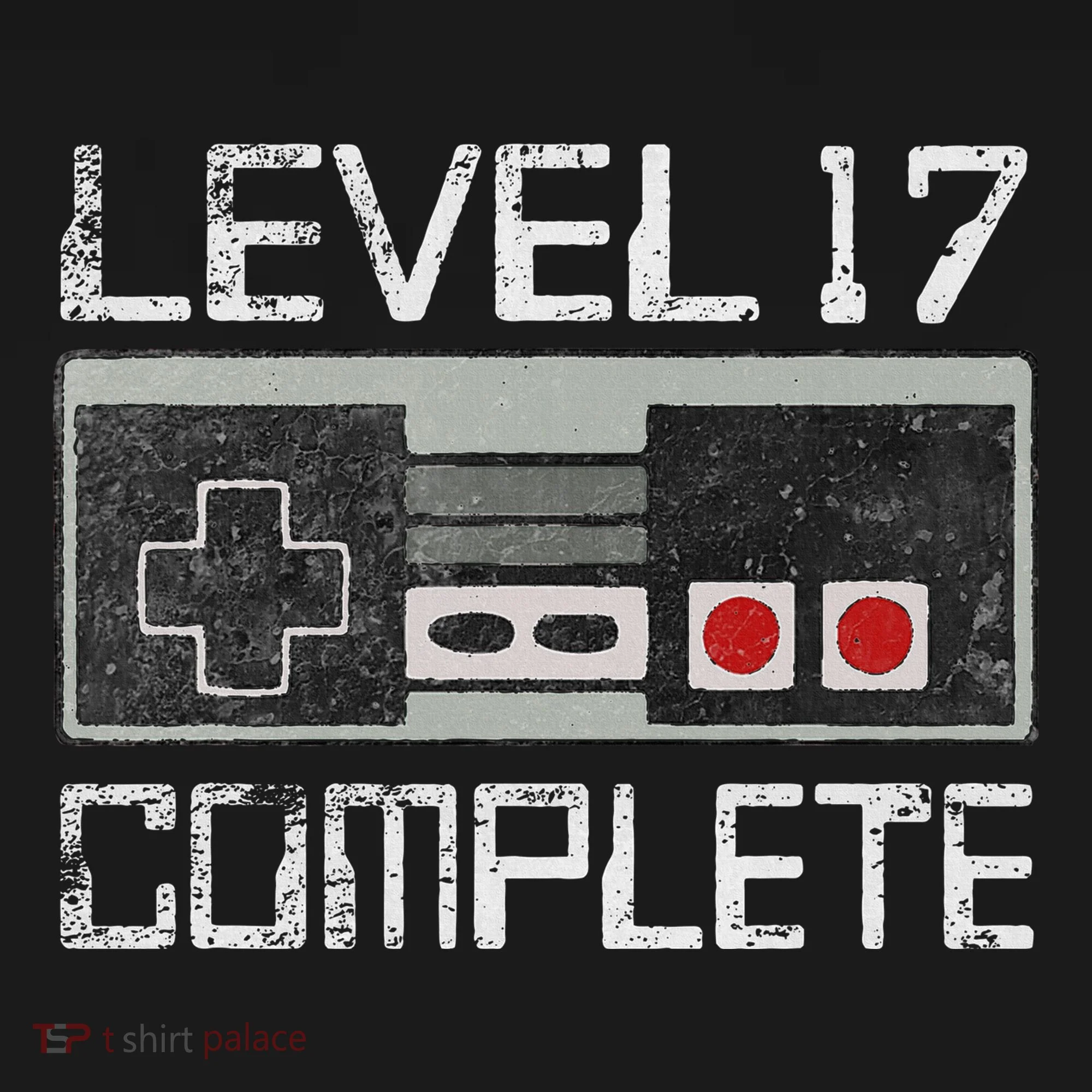 Level 17 Complete 17 Year 17th Wedding Anniversary Women's T-Shirt