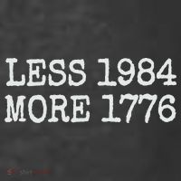 Less 1984 More 1776 Freedom Usa Save America Constitution T Women's Hoodie thumb 2