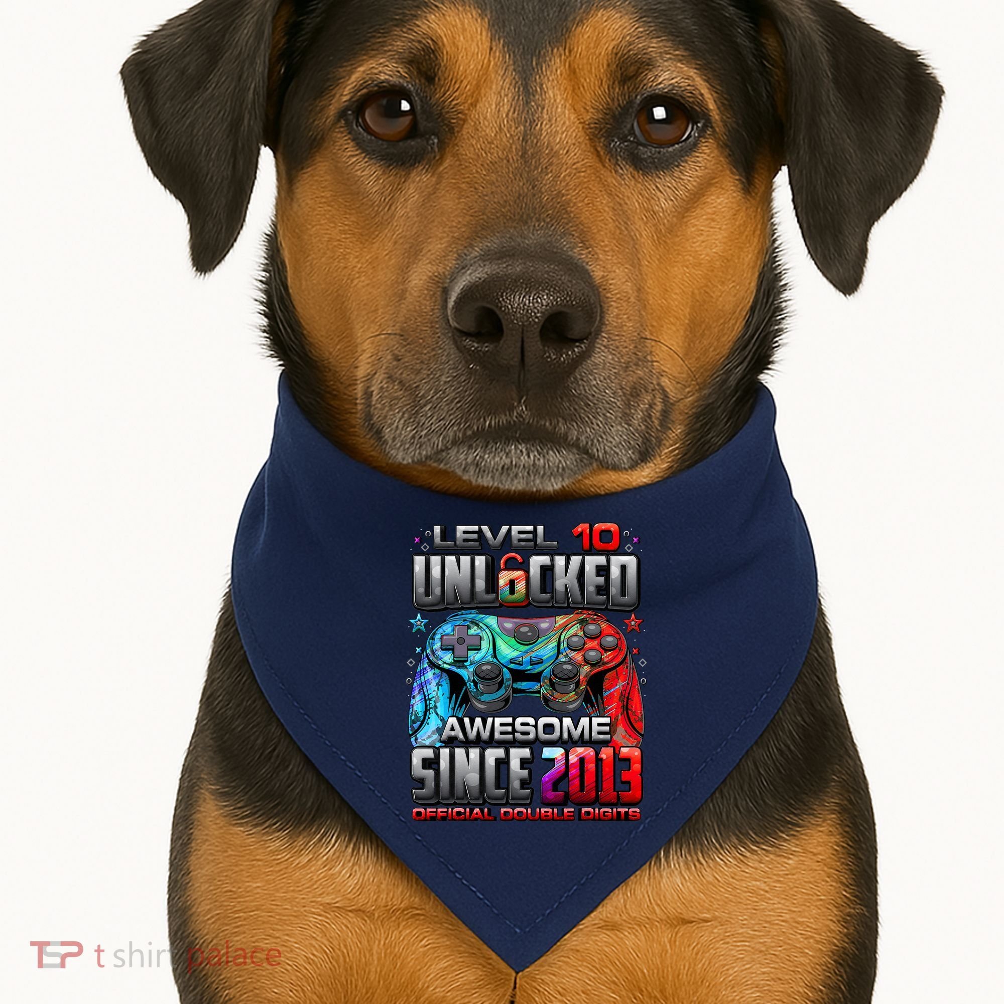 Level 10 Unlocked Awesome Since 2013 10th Birthday Gaming USA-Made Doggie Bandana