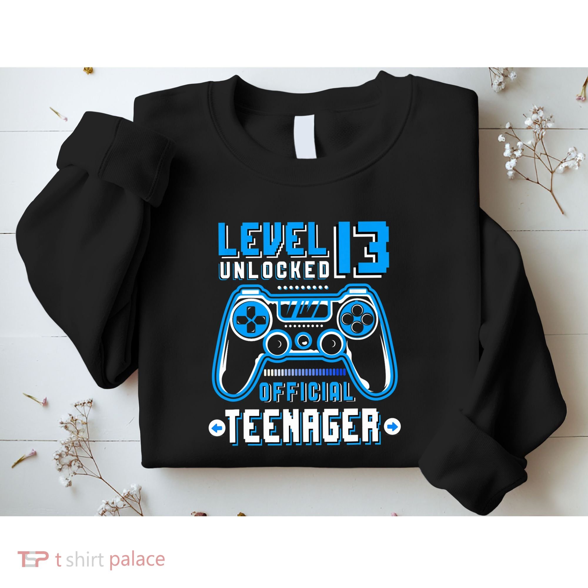 Level 13 Unlocked Teenager Video Game 13th Birthday Sweatshirt