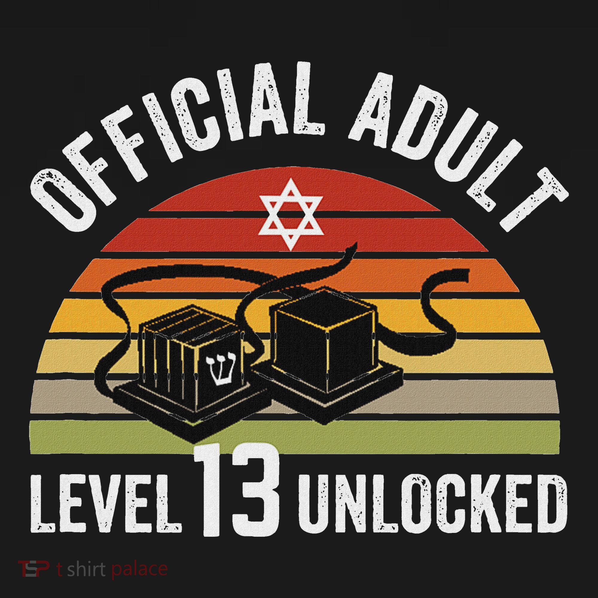 Level 13 Unlocked Adult 13th Jewish Bar Mitzvah Boy T-Shirt
