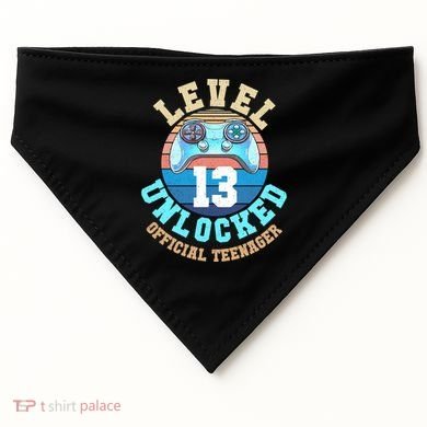 Level 13 Unlocked Video Game 13th Birthday USA-Made Doggie Bandana