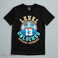 Level 13 Unlocked Video Game 13th Birthday T-Shirt thumb 5