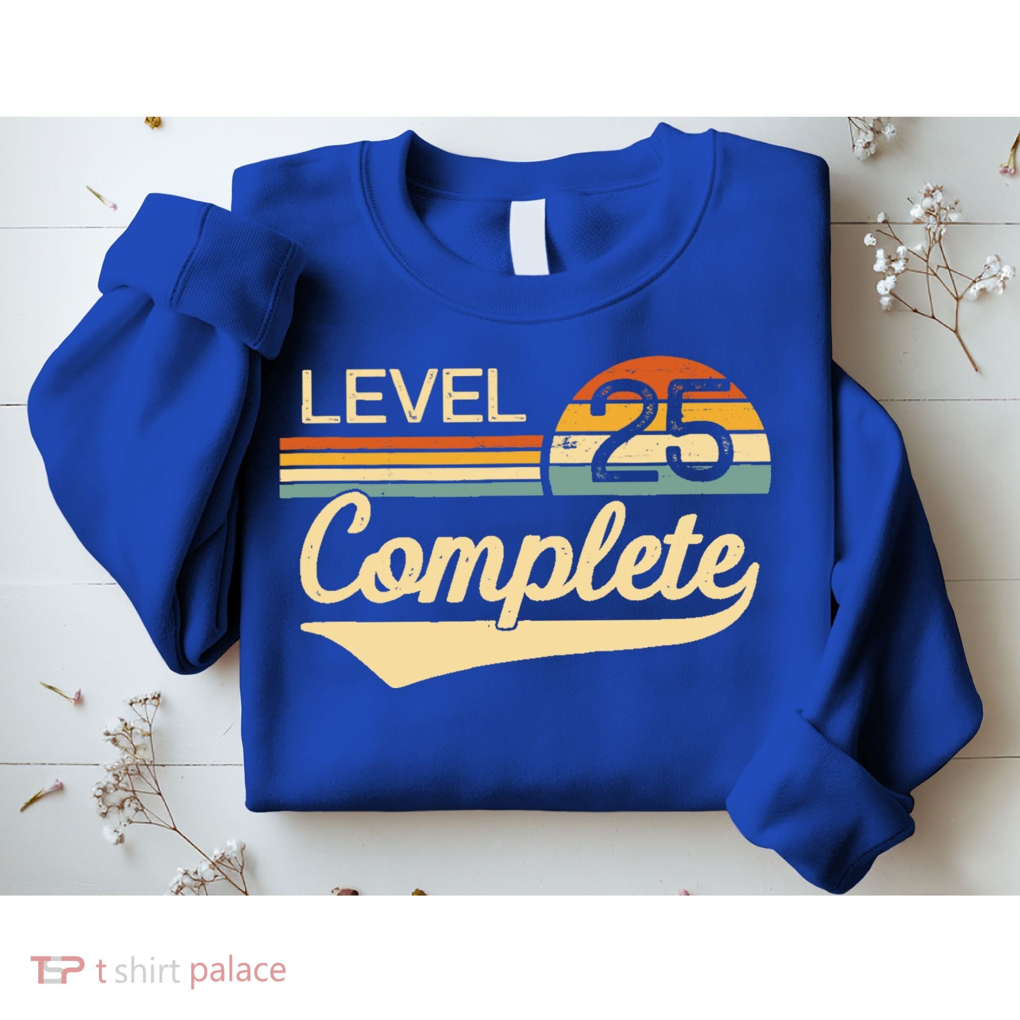 Level 25 Complete Gift 25 Year Wedding Anniversary Gift Him Her Gift Sweatshirt
