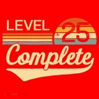 Level 25 Complete Gift 25 Year Wedding Anniversary Gift Him Her Gift Santa Hat thumb 1