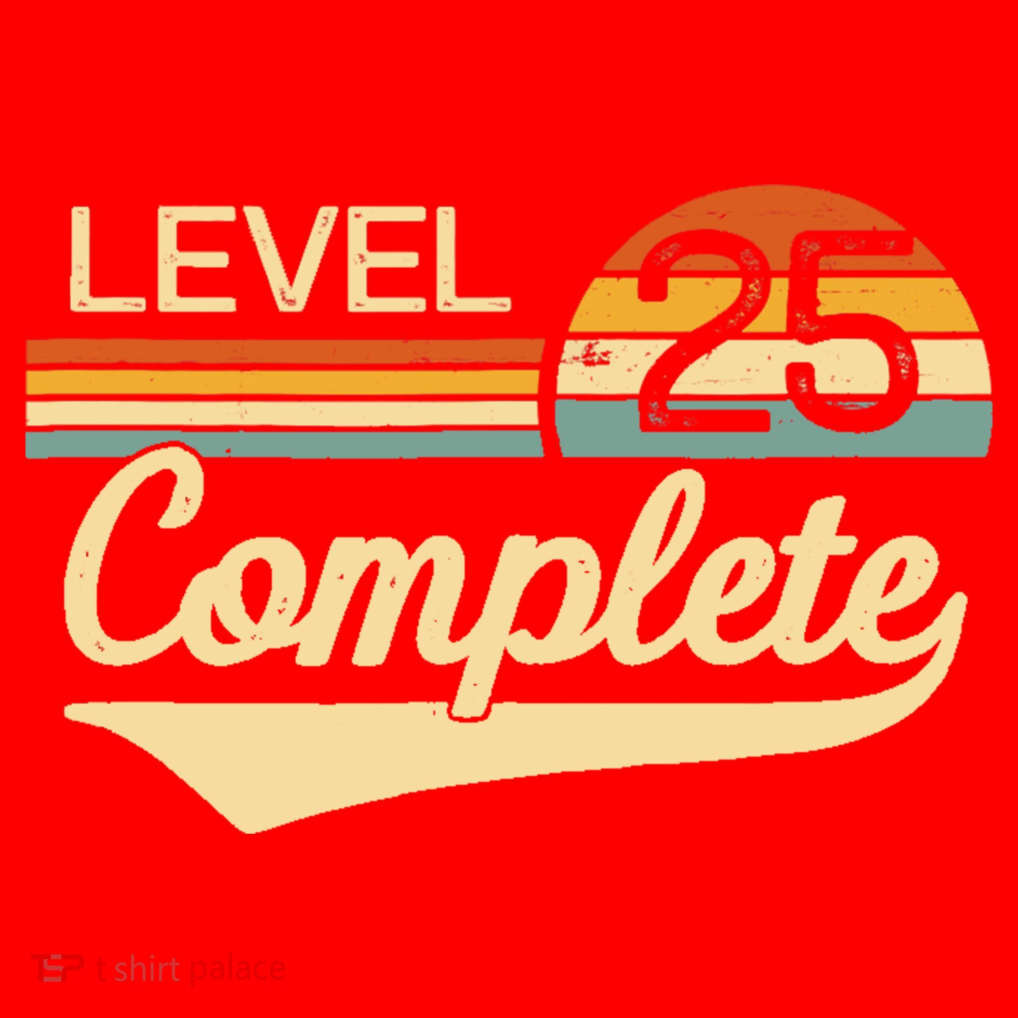 Level 25 Complete Gift 25 Year Wedding Anniversary Gift Him Her Gift Santa Hat
