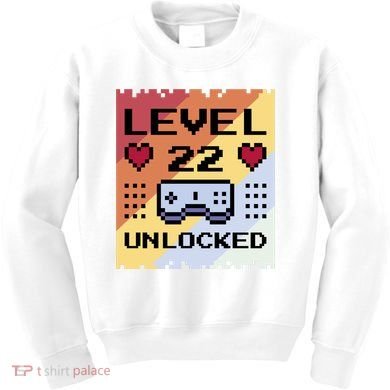 Level 22 Unlocked Birthday Kids Sweatshirt