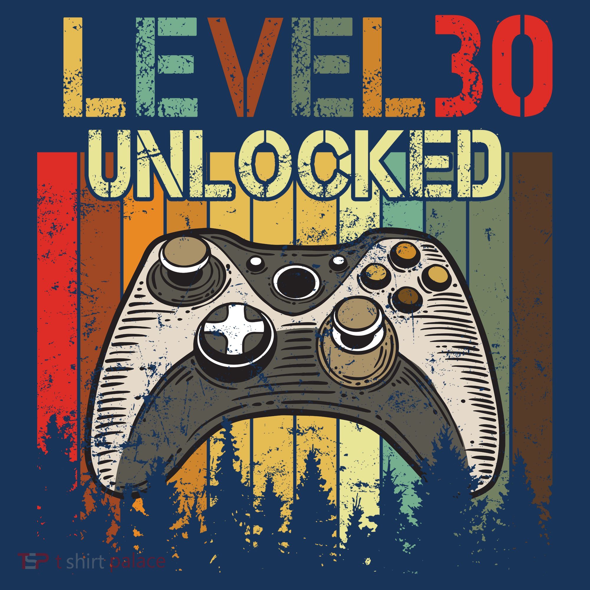 Level 30 Unlocked Video Game 30th Birthday Hat