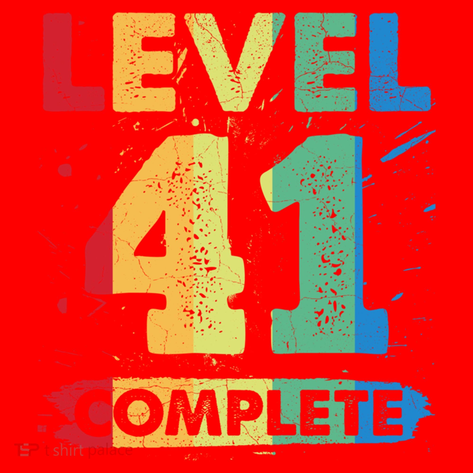 Level 41 Complete 41st Wedding Anniversary 41 Years Gift Santa Hat