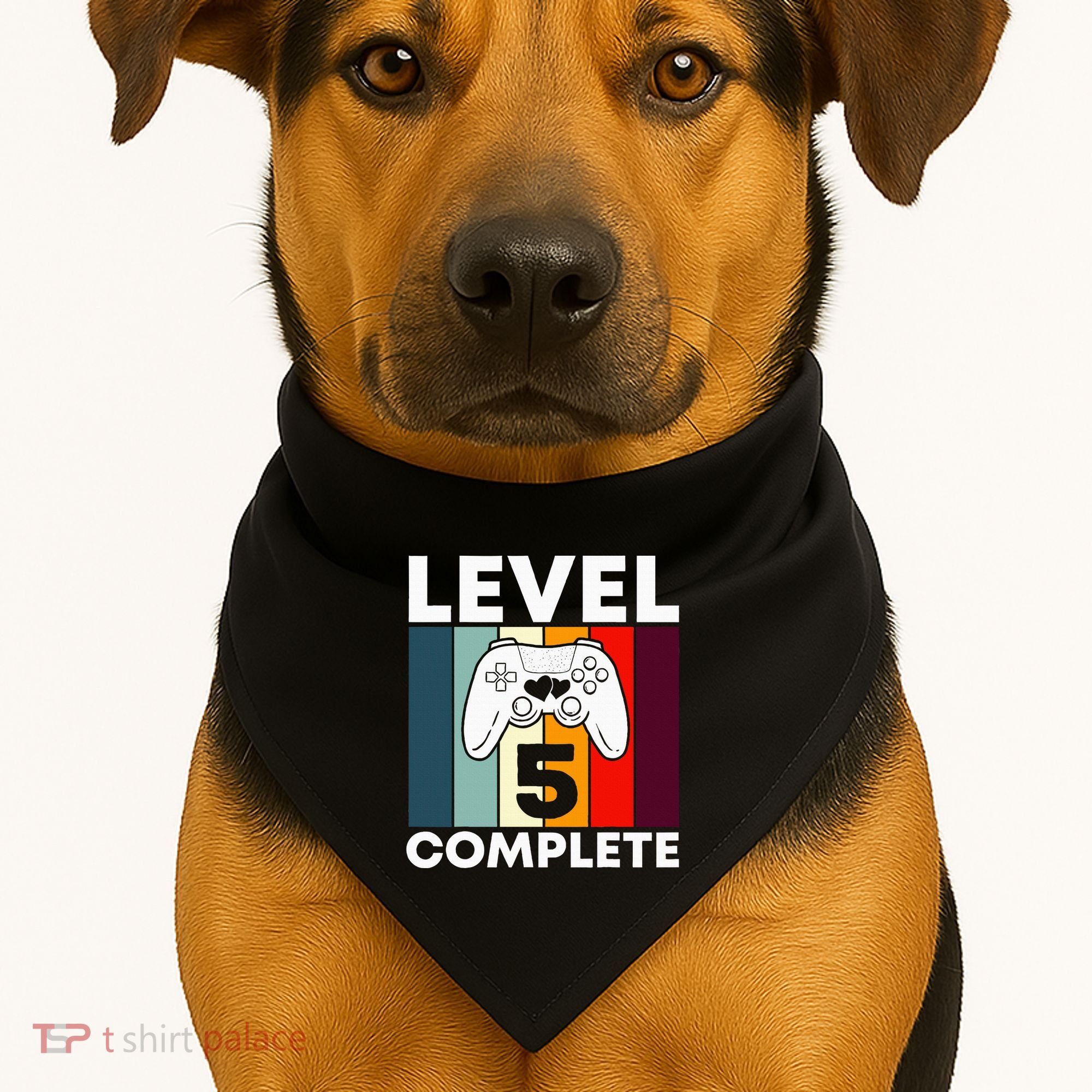 Level 5 Complete 5th Year Wedding Anniversary Gift For Him USA-Made Doggie Bandana