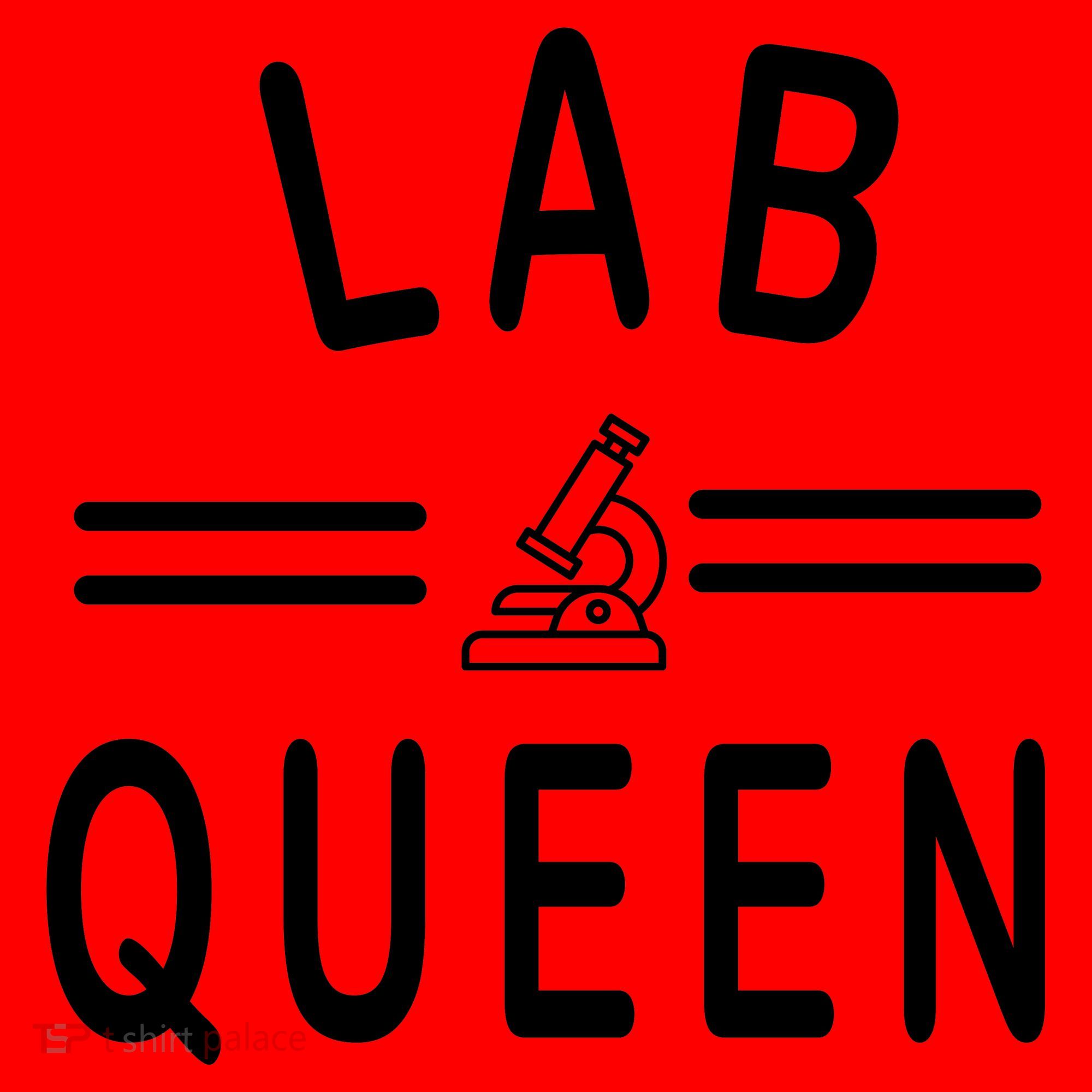 Lab Queen Santa Hat