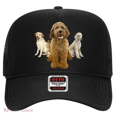 Labradoodle Trio Hat