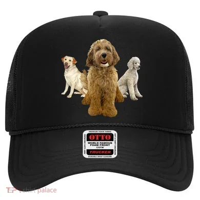 Labradoodle Trio Hat