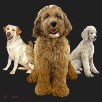 Labradoodle Trio Hat thumb 2