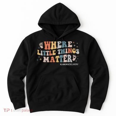 Labor and Delivery Nurse L&D Where Little Things Matter Hoodie