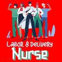 Labor And Delivery Nurse Labor Day Holidays Laborers Workers Gift Santa Hat thumb 1
