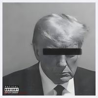 Liberal Advisory Explicit Content Trump Mugshot Sweatshirt thumb 3