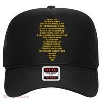 Let Any Fish Who Meets My Gaze Hat thumb 0