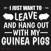 Leave And Hang Out With Guinea Pigs Gift Guinea Pig Funny Gift Bucket Hat thumb 4