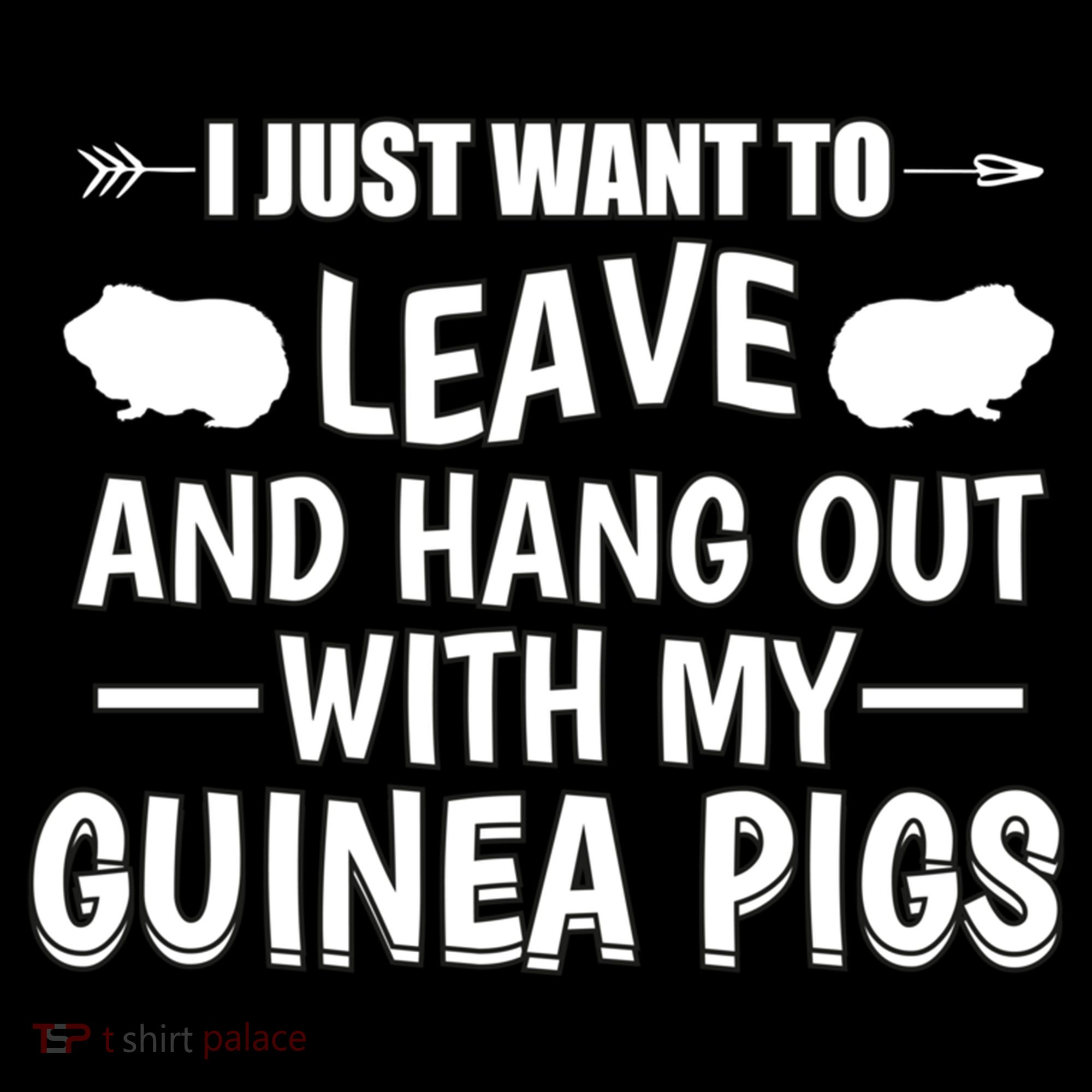 Leave And Hang Out With Guinea Pigs Gift Guinea Pig Funny Gift Coffee Mug