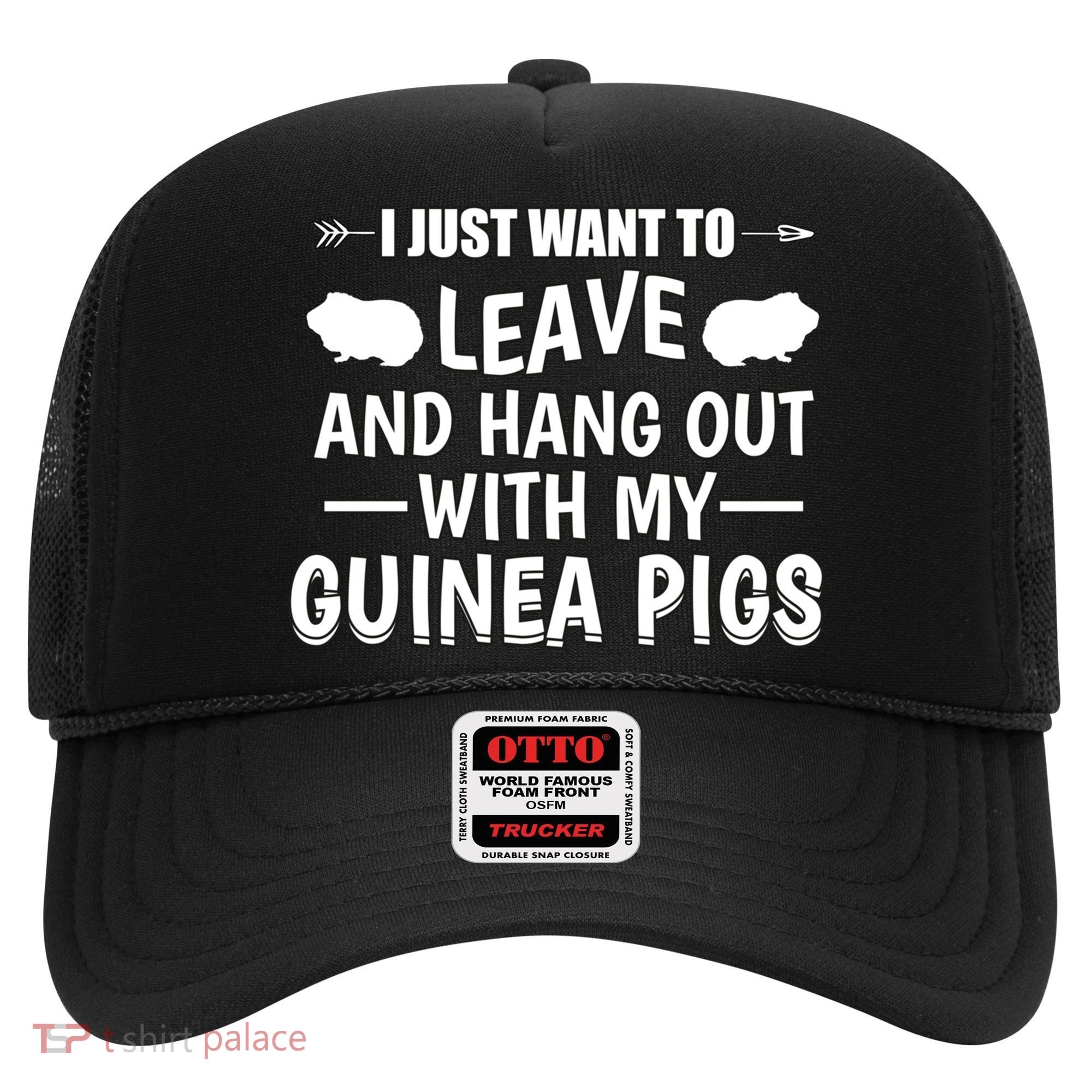 Leave And Hang Out With Guinea Pigs Gift Guinea Pig Funny Gift Hat