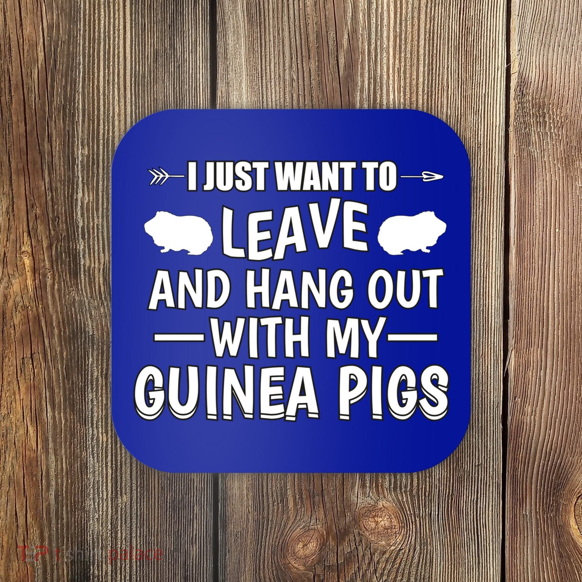 Leave And Hang Out With Guinea Pigs Gift Guinea Pig Funny Gift Coaster