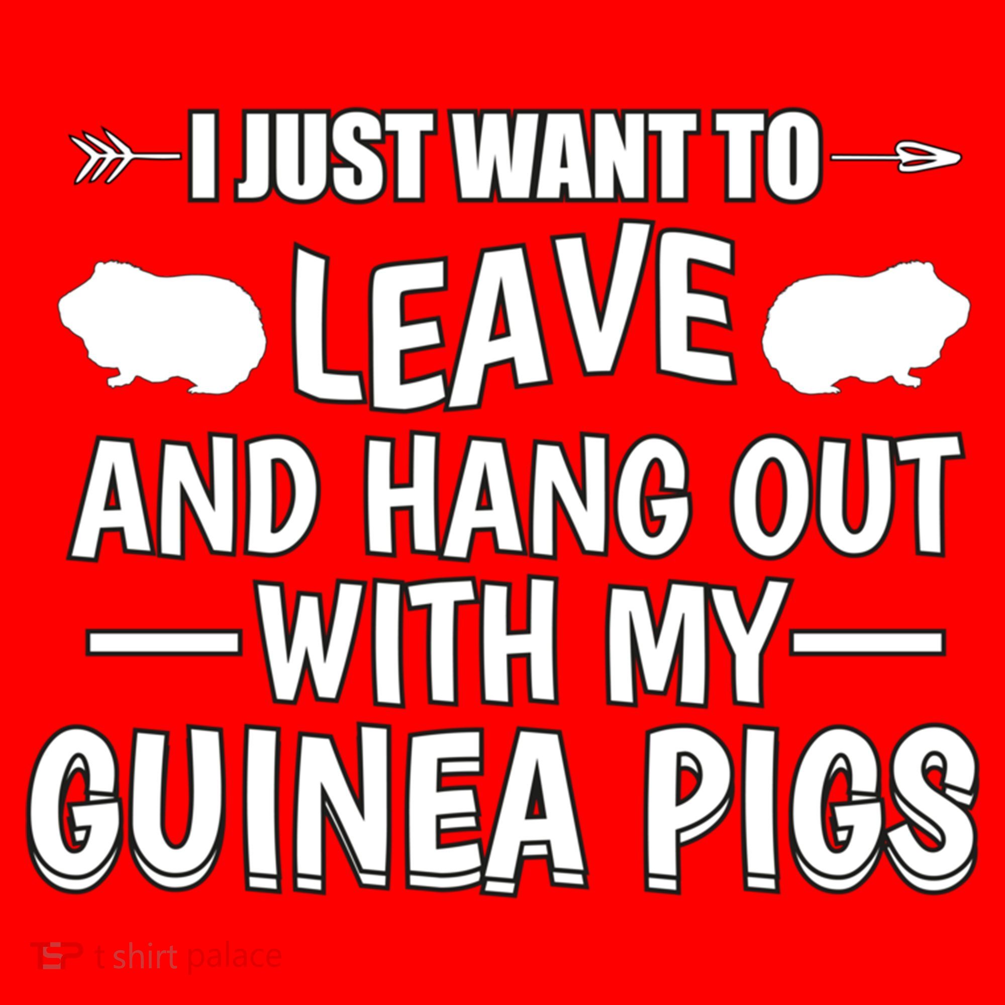 Leave And Hang Out With Guinea Pigs Gift Guinea Pig Funny Gift Santa Hat