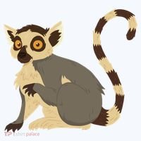 Lemur Animal T-Shirt thumb 7