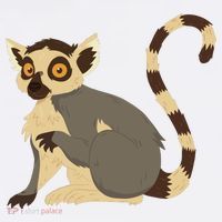 Lemur Animal Beanie thumb 2