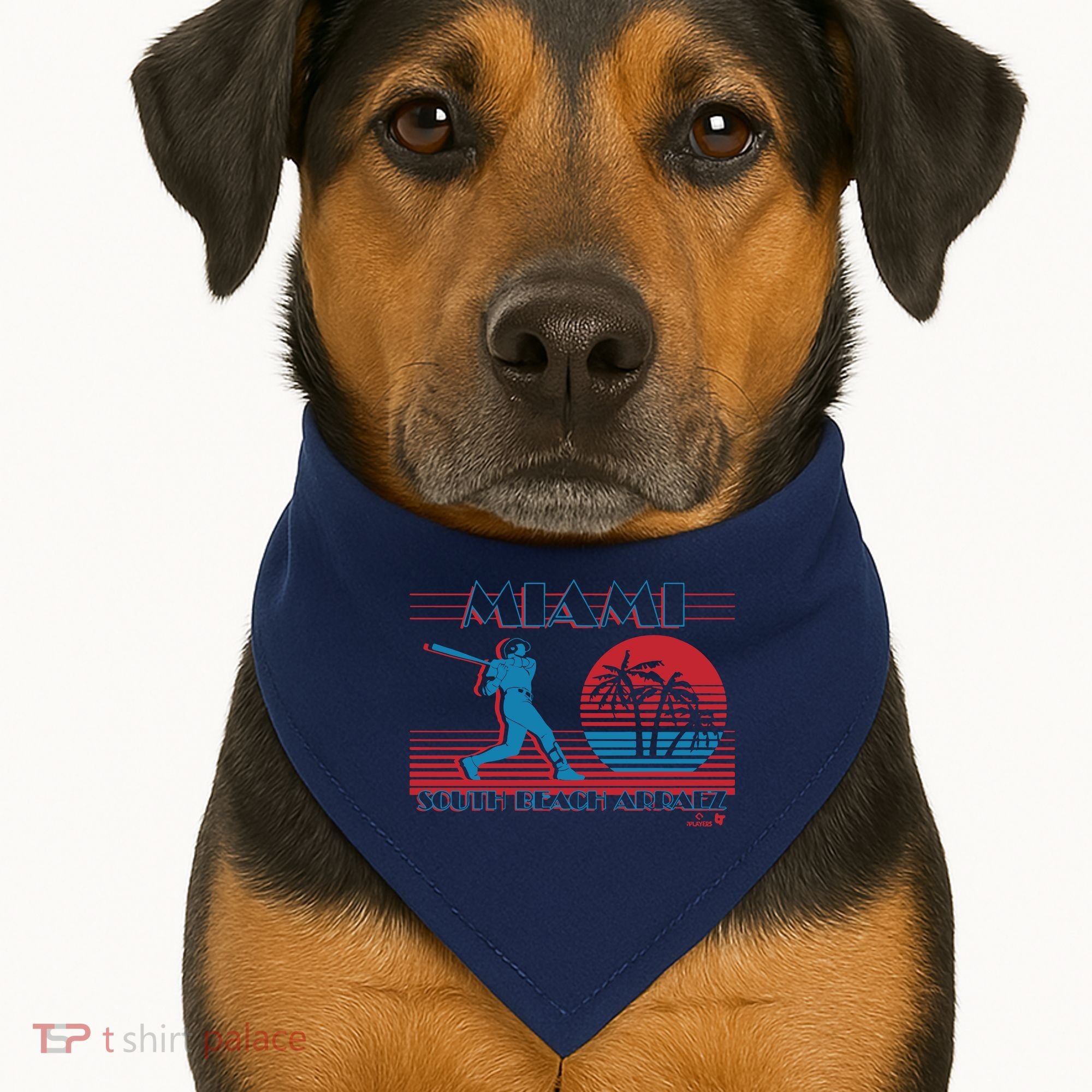 Luis Arraez Miami South Beach Arraez USA-Made Doggie Bandana