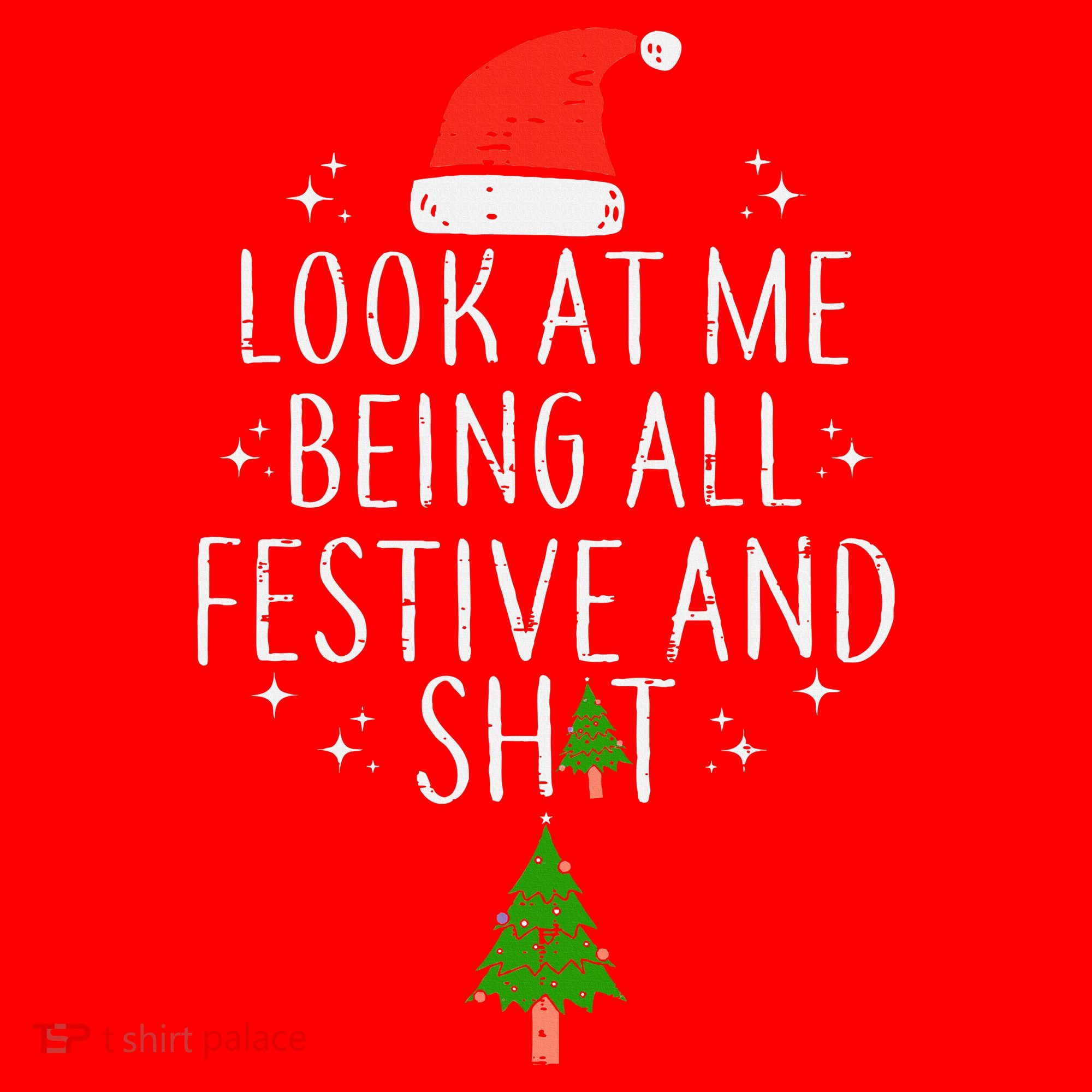 Look At Me Being All Festive Santa Hat