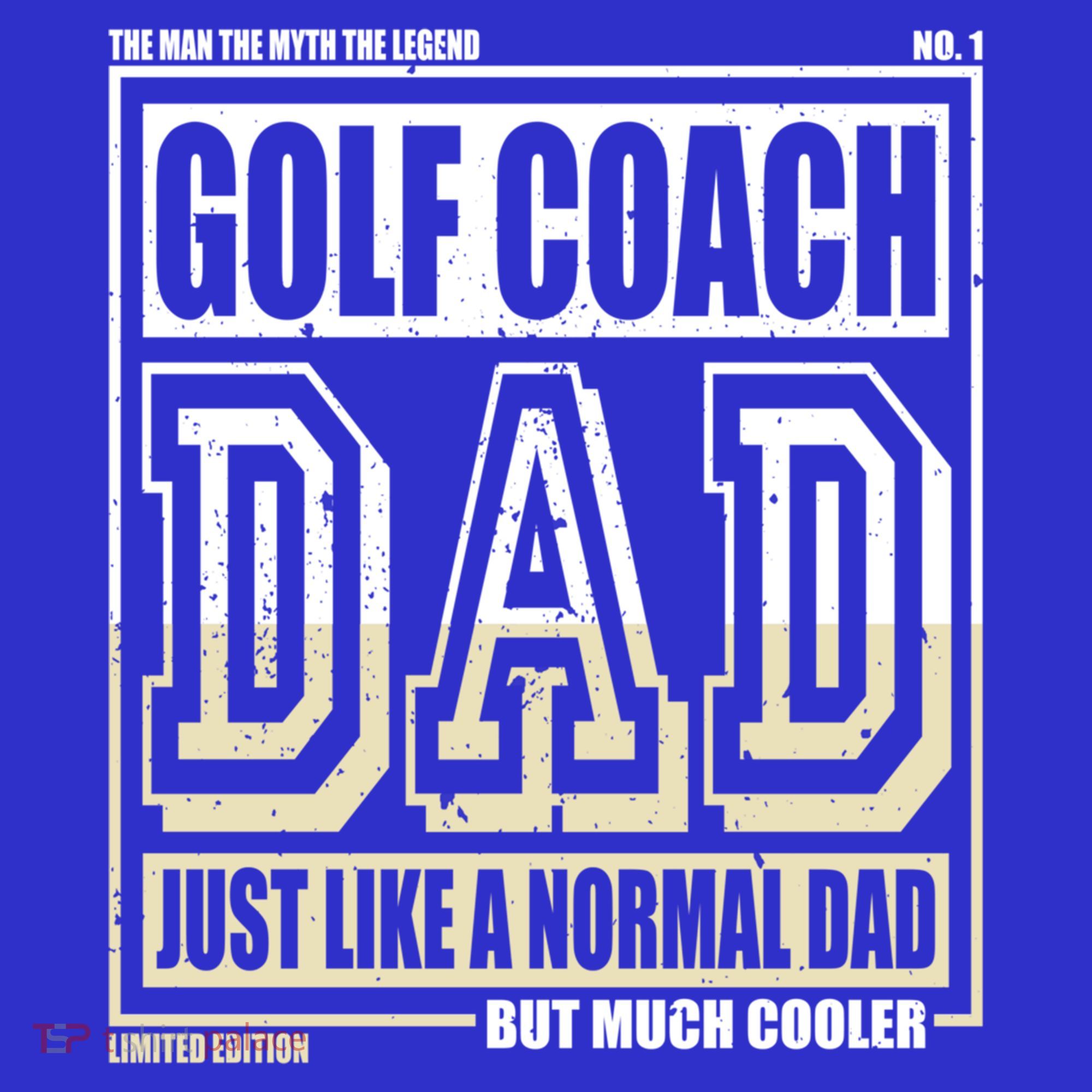 Like A Normal Dad Father Golf Coach Gift Visor
