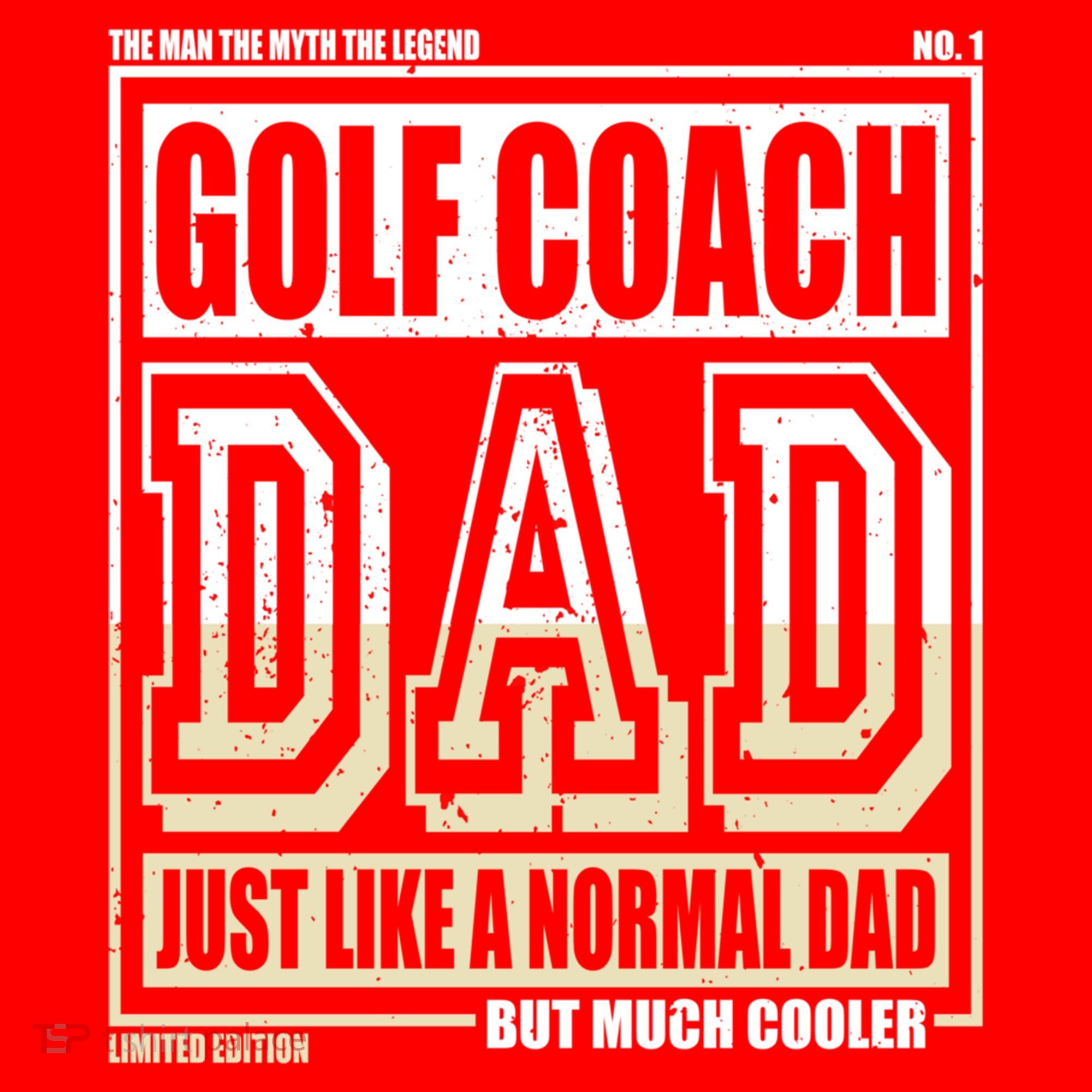 Like A Normal Dad Father Golf Coach Gift Santa Hat