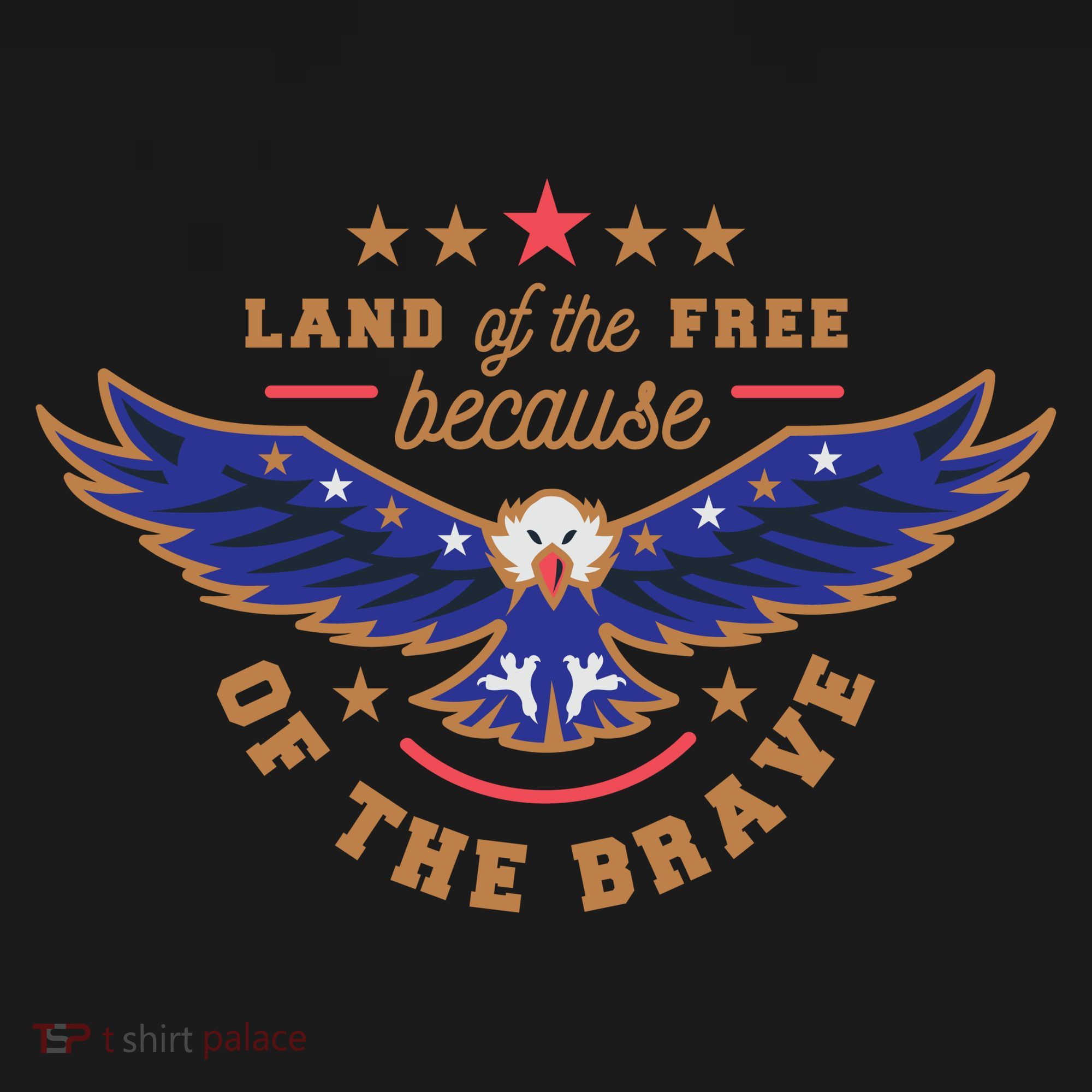 Land Of The Free Because Of The Brave Eagle Women's Hoodie