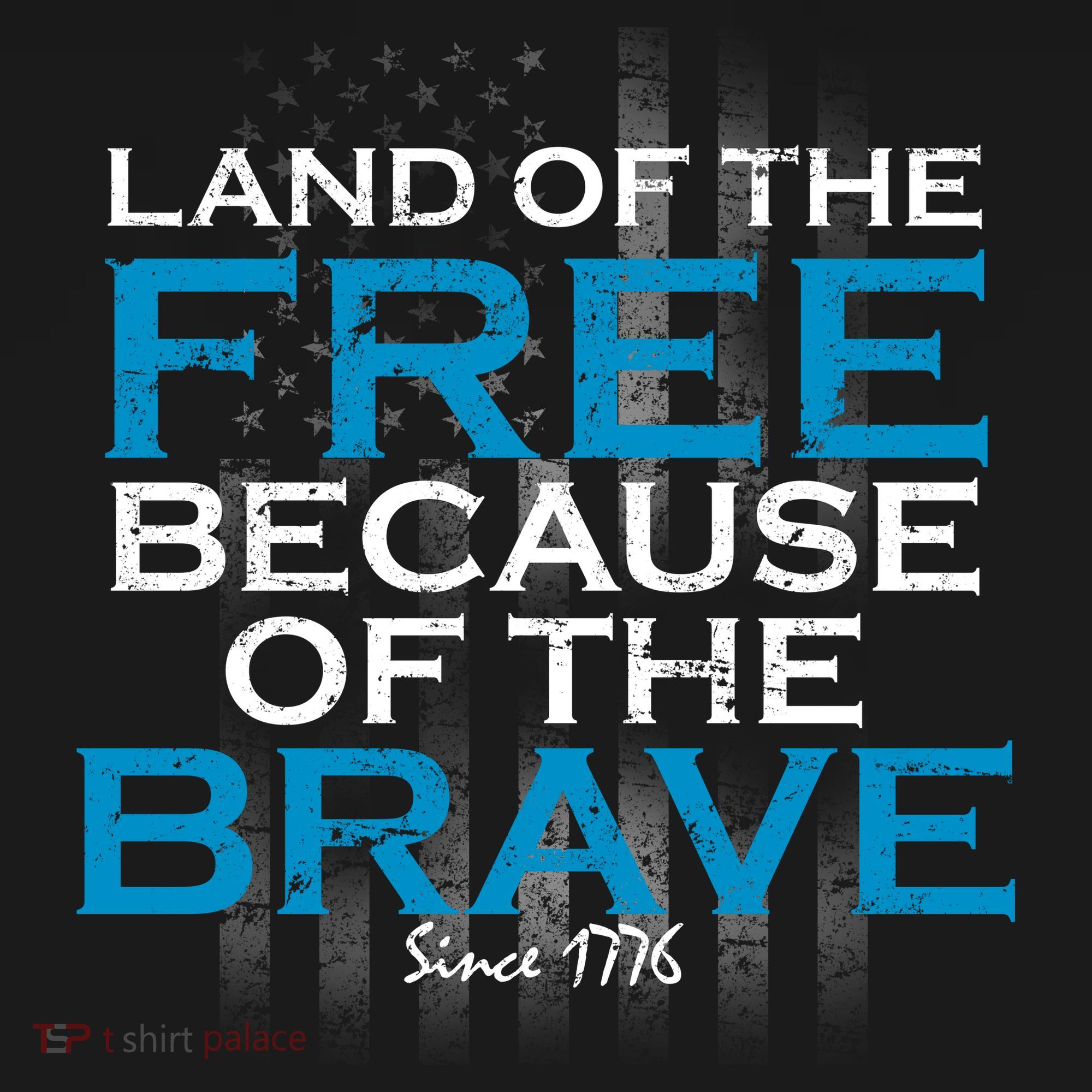 Land Of The Free Because Of The Brave USA T-Shirt