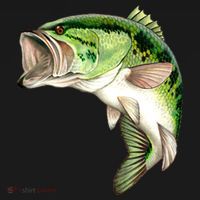 Largemouth Bass Swimming Ornament thumb 1