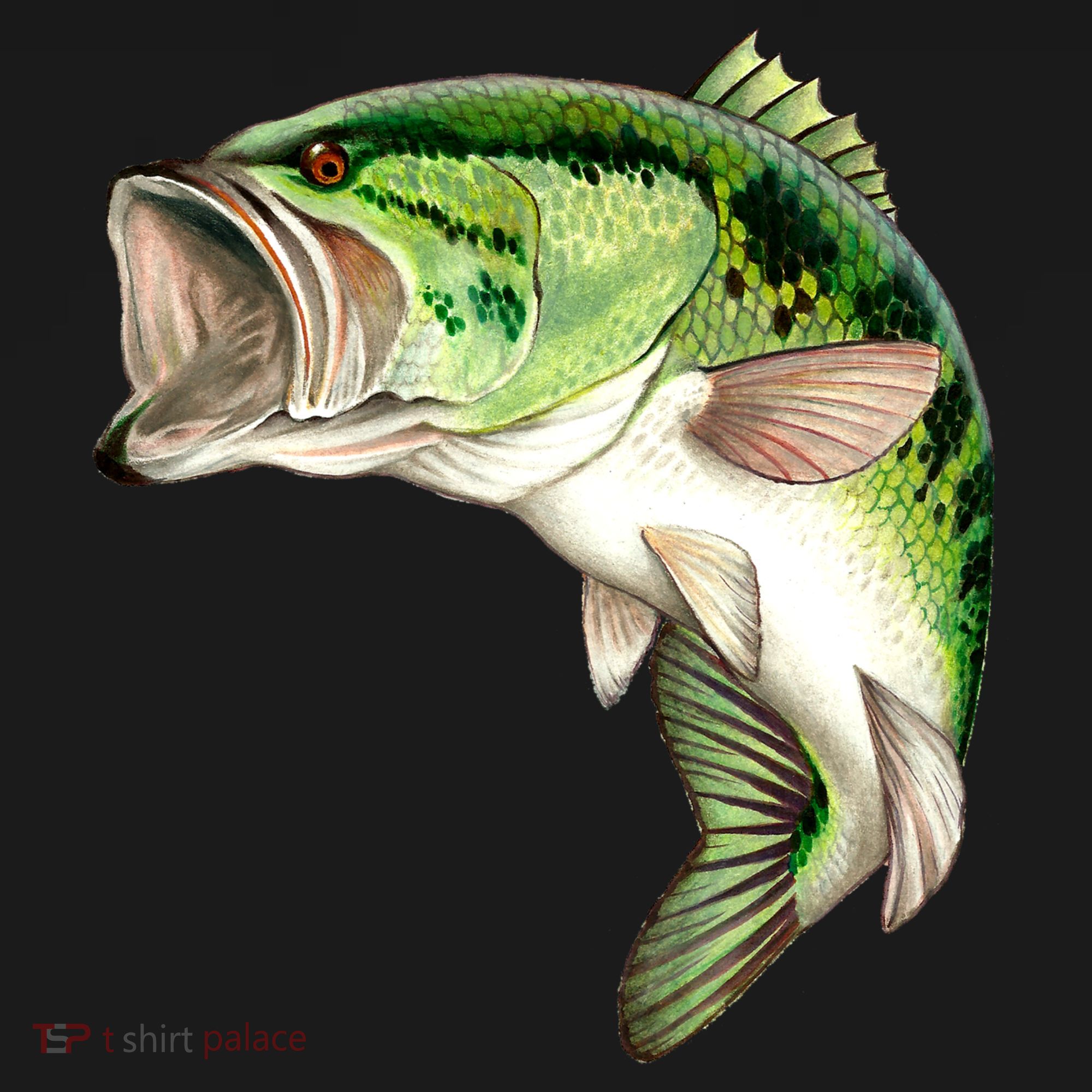 Largemouth Bass Swimming Ornament