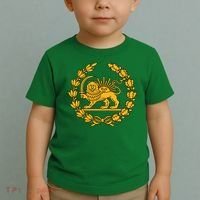 Lion And Sun Emblem Of Persia Iran Shir-o-Khoshid Toddler T-Shirt thumb 2