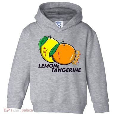 Lemon And Tangerine Bullet Train Toddler Hoodie