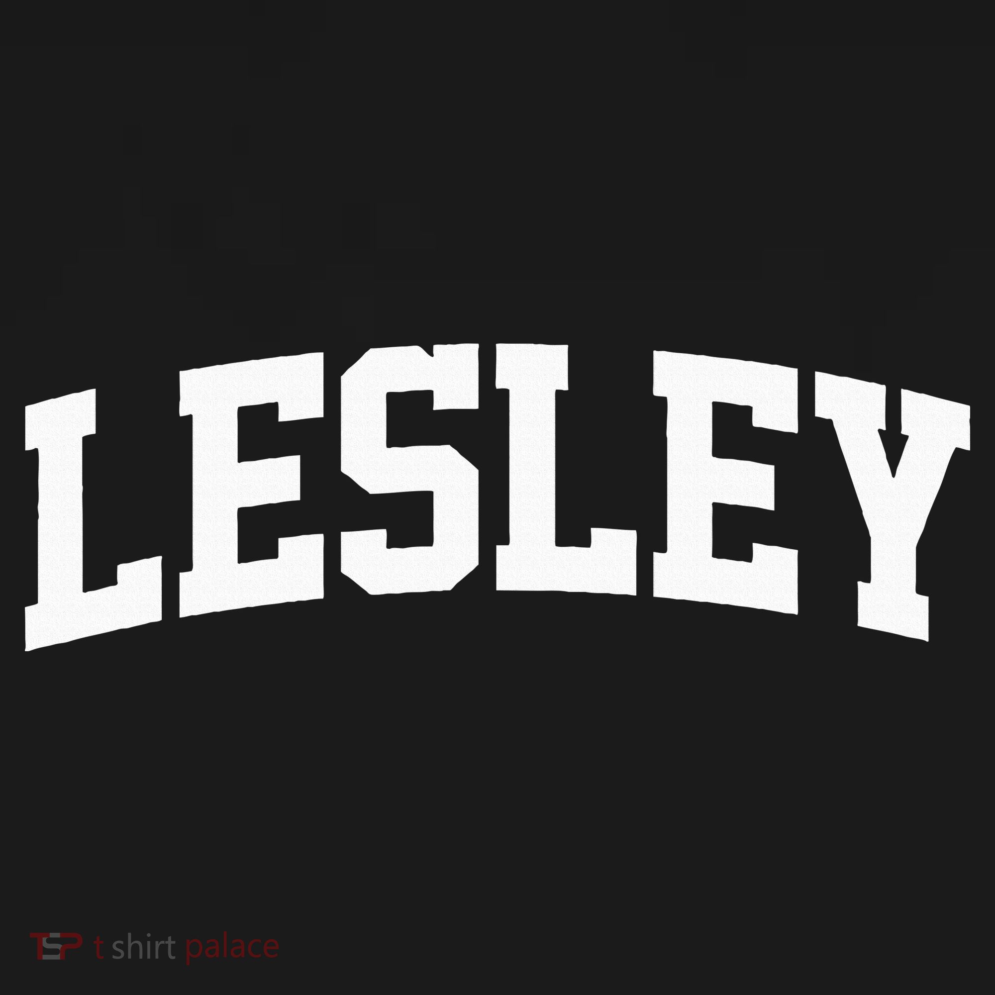 Lesley Arch Vintage College Athletic Sport T-Shirt