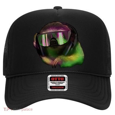 Lazy DJ Sloth Hat