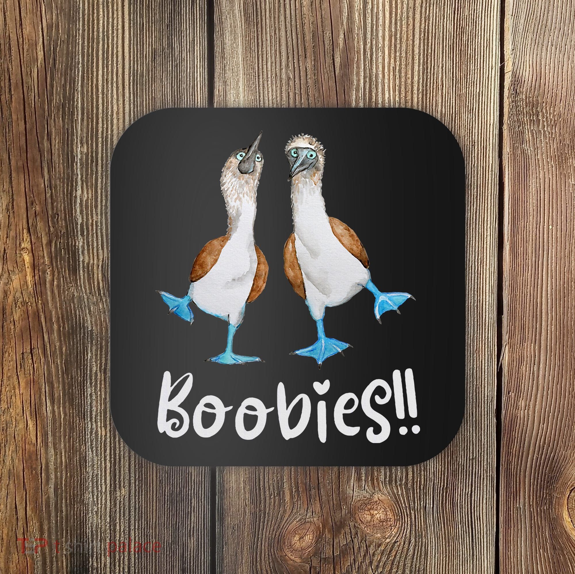 Love Bluefooted Boobies Bird Nerd For Birdwatching Coaster