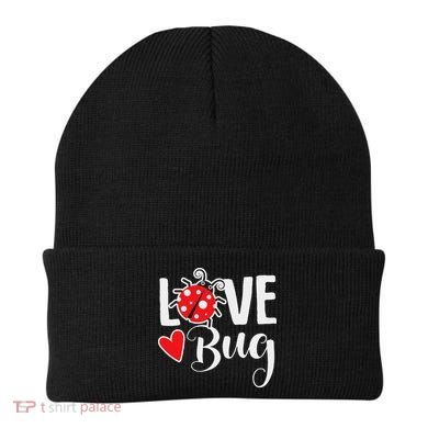 Love Bug Cute Valentine's Day Party Ladybug Beanie