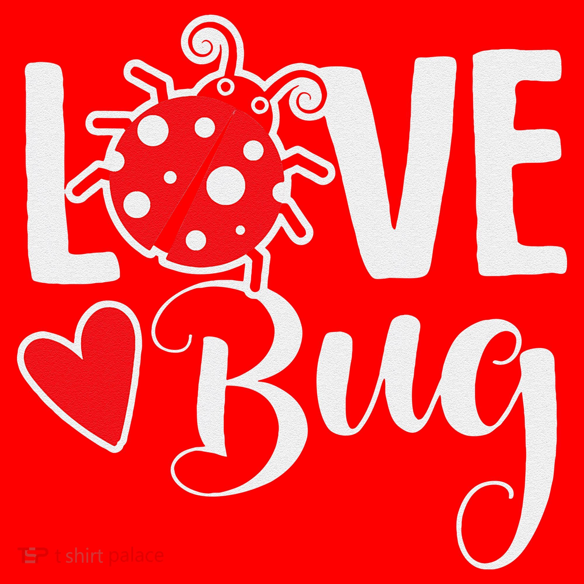 Love Bug Cute Valentine's Day Party Ladybug Santa Hat