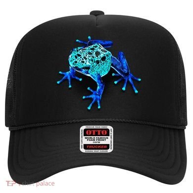 Little Blue Frog With Spots Hat