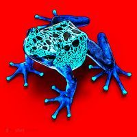 Little Blue Frog With Spots Santa Hat thumb 1
