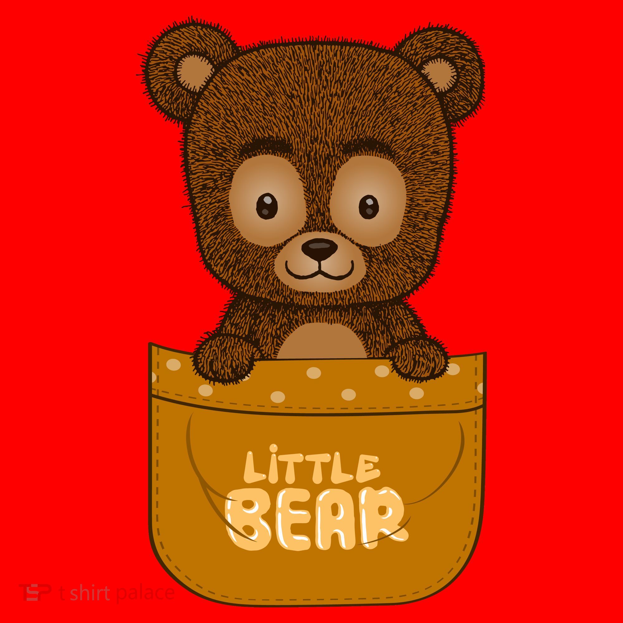 Little Bear Inside The Pocket Santa Hat